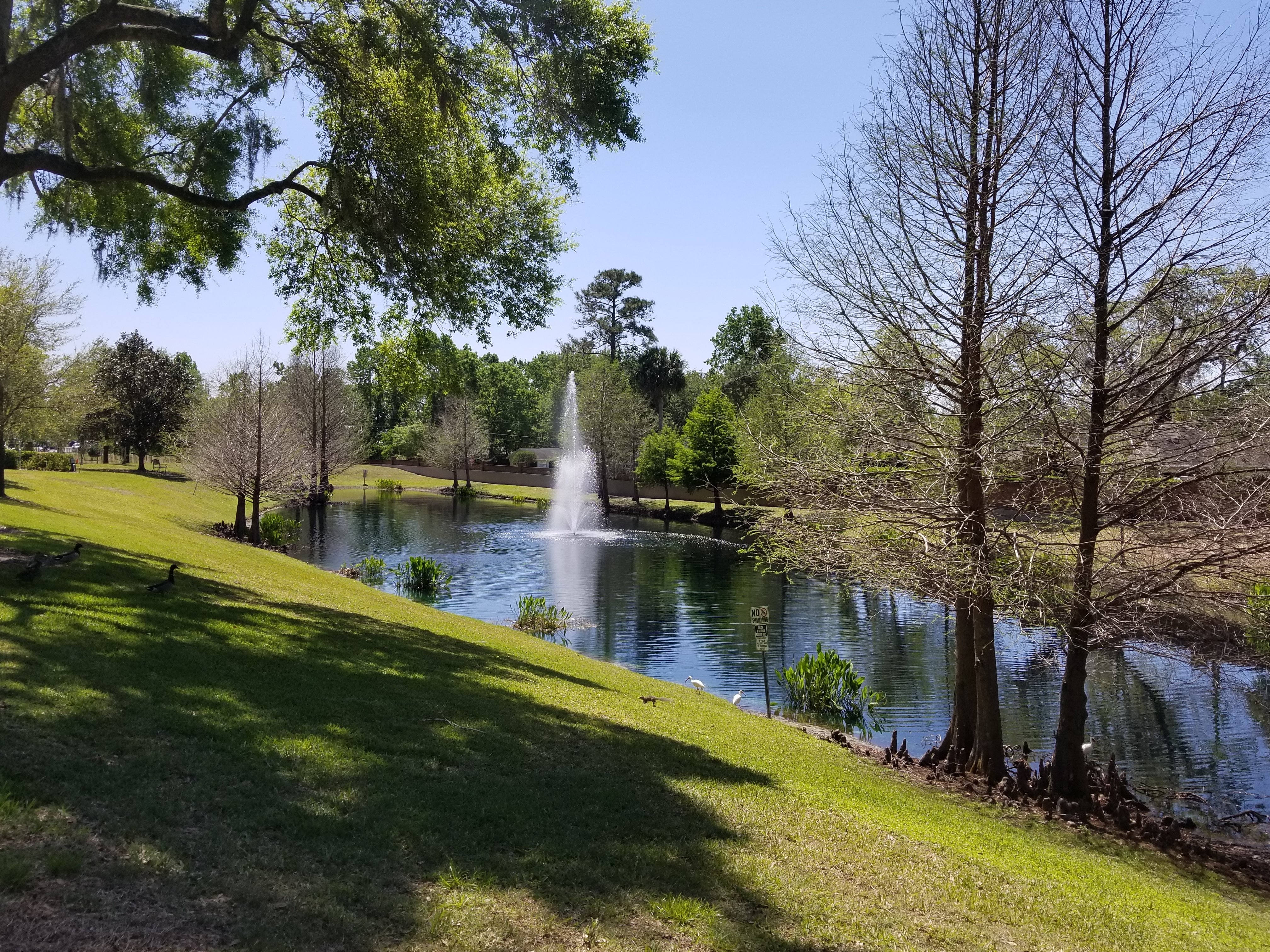 Fountain & pond